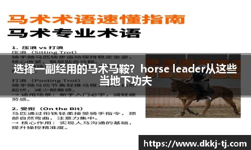 选择一副经用的马术马鞍？horse leader从这些当地下功夫